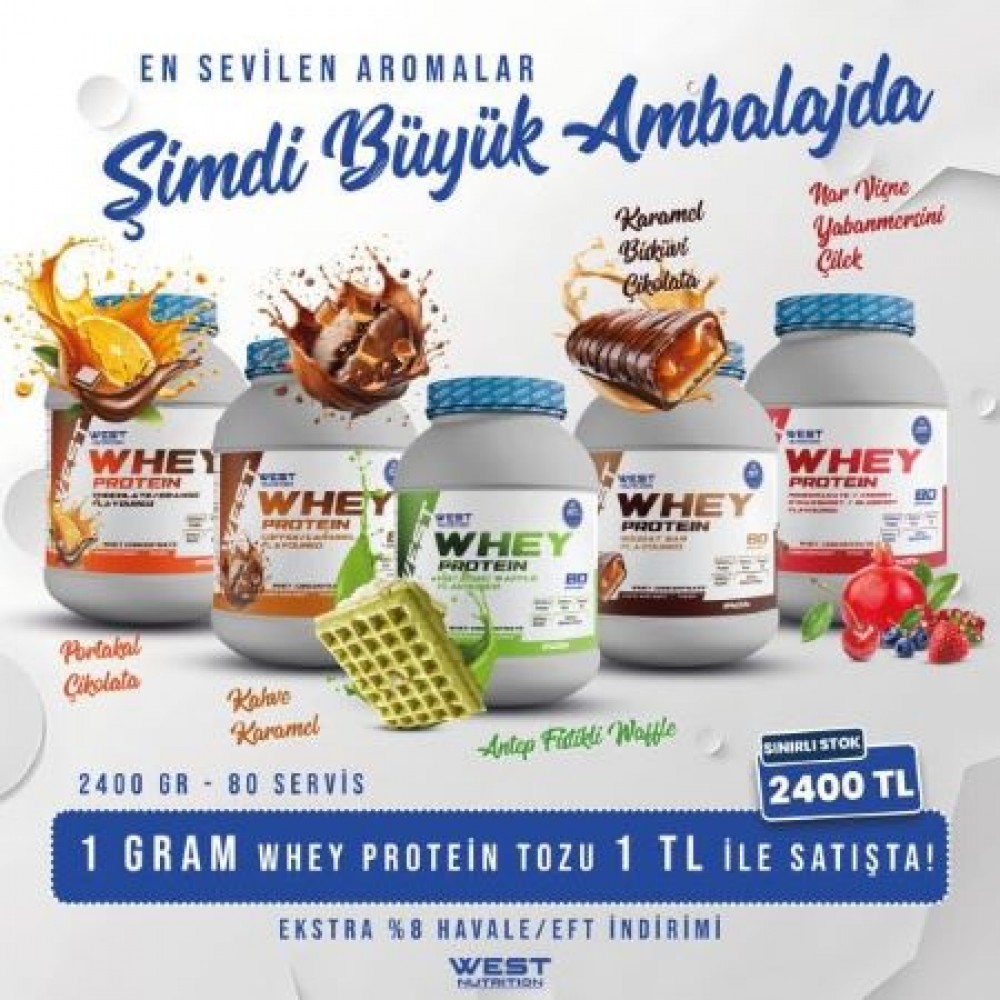 Whey Protein Tozu 2400 gr 80 Servis LANSMAN